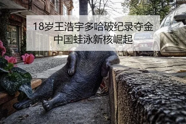 18岁王浩宇多哈破纪录夺金 中国蛙泳新核崛起