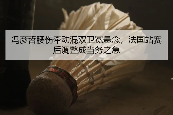 冯彦哲腰伤牵动混双卫冕悬念，法国站赛后调整成当务之急